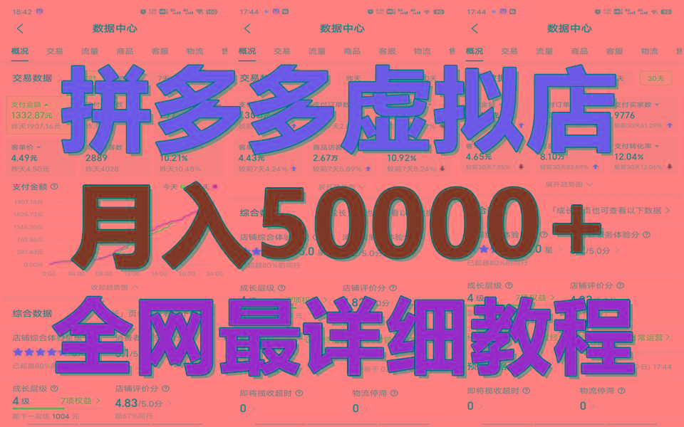 拼多多虚拟电商训练营月入50000+你也行，暴利稳定长久，副业首选-瀚洪创业网
