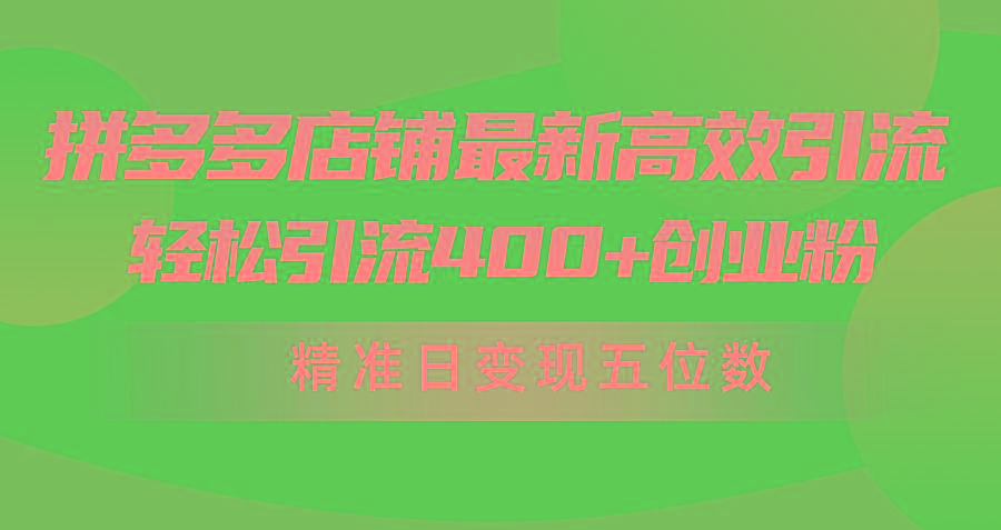 (10041期)拼多多店铺最新高效引流术，轻松引流400+创业粉，精准日变现五位数！-瀚洪创业网