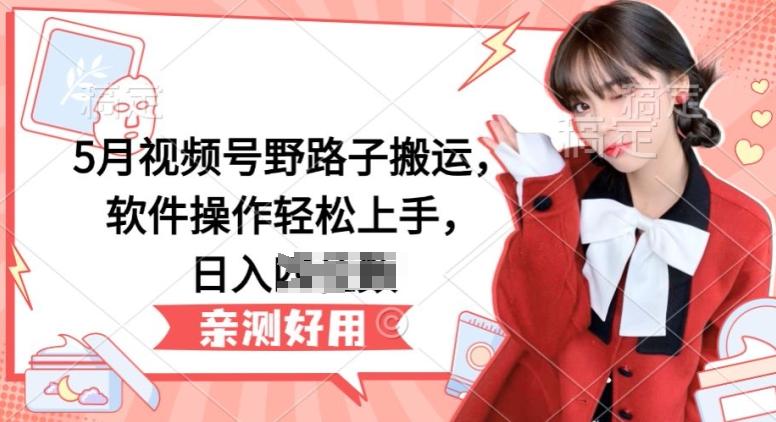 5月视频号野路子搬运，软件操作轻松上手，日入三位数【揭秘】-瀚洪创业网