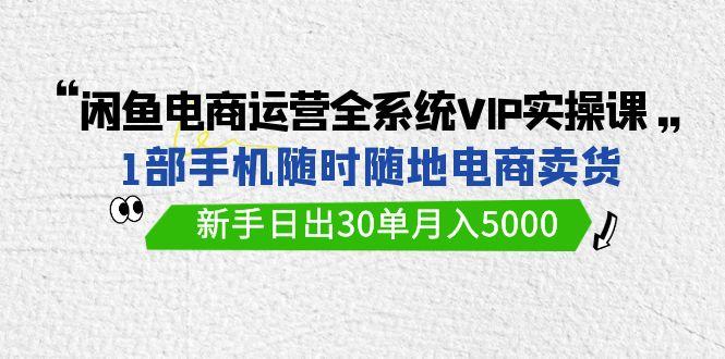 (9547期)闲鱼电商运营全系统VIP实战课，1部手机随时随地卖货，新手日出30单月入5000-瀚洪创业网