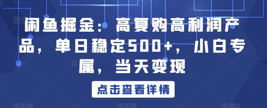 闲鱼掘金：高复购高利润产品，单日稳定500+，小白专属，当天变现-瀚洪创业网