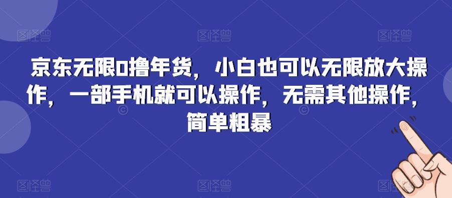 京东无限0撸年货，小白也可以无限放大操作，一部手机就可以操作，无需其他操作，简单粗暴-瀚洪创业网