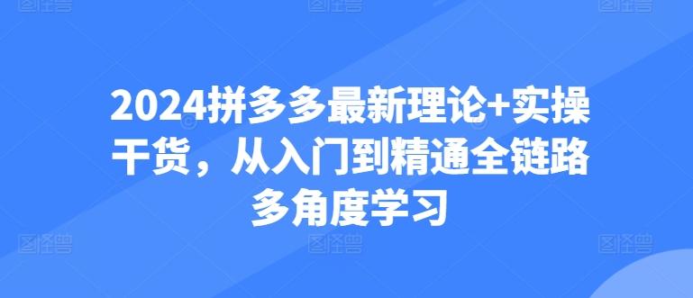 2024拼多多最新理论+实操干货，从入门到精通全链路多角度学习-瀚洪创业网