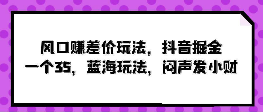 (10022期)风口赚差价玩法，抖音掘金，一个35，蓝海玩法，闷声发小财-瀚洪创业网