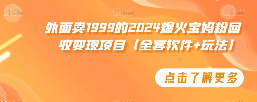 外面卖1999的2024爆火宝妈粉回收变现项目【全套软件+玩法】【揭秘】-瀚洪创业网
