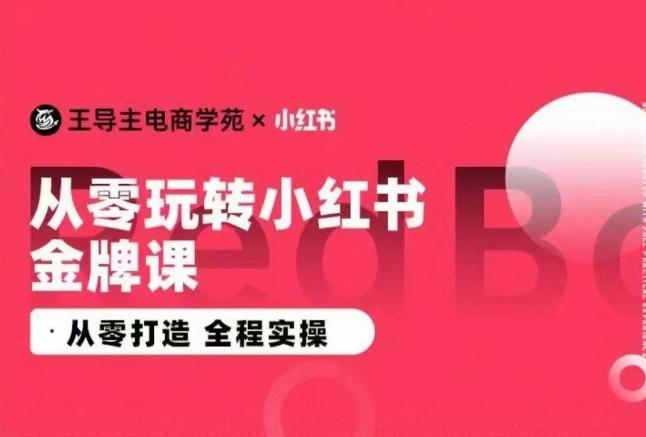 王导主·小红书电商运营实操课，​从零打造  全程实操-瀚洪创业网