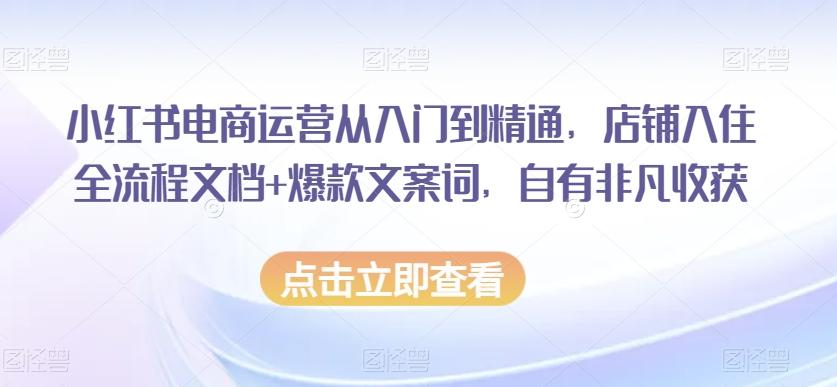 小红书电商运营从入门到精通，店铺入住全流程文档+爆款文案词，自有非凡收获-瀚洪创业网
