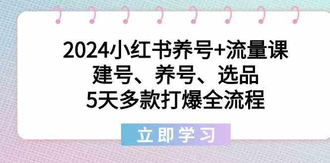 2024小红书养号+流量课：建号、养号、选品，5天多款打爆全流程-瀚洪创业网