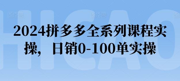2024拼多多全系列课程实操，日销0-100单实操【必看】-瀚洪创业网