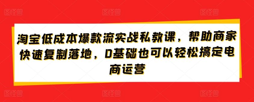 淘宝低成本爆款流实战私教课，帮助商家快速复制落地，0基础也可以轻松搞定电商运营-瀚洪创业网