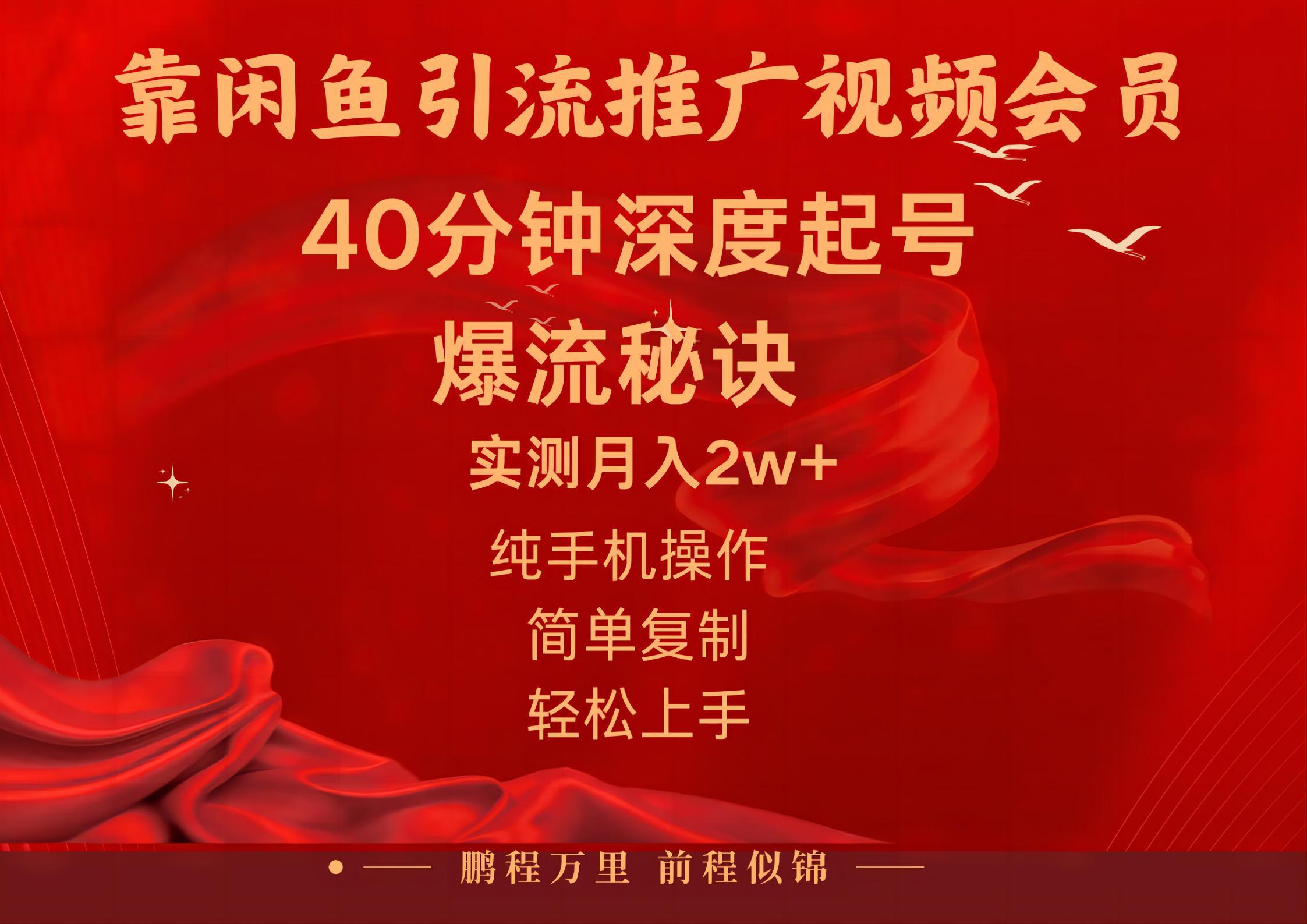 闲鱼暴力引流推广视频会员，能做到日入2W+，操作简单-瀚洪创业网