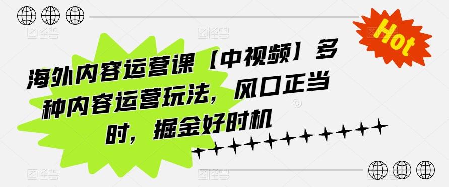 海外内容运营课【中视频】多种内容运营玩法，风口正当时，掘金好时机-瀚洪创业网