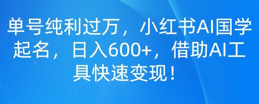 单号纯利过万，小红书AI国学起名，日入600+，借助AI工具快速变现-瀚洪创业网