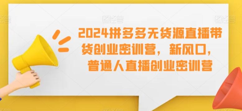 2024拼多多无货源直播带货创业密训营，新风口，普通人直播创业密训营-瀚洪创业网