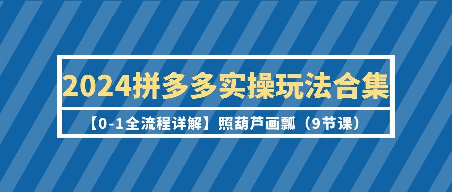 (9559期)2024拼多多实操玩法合集【0-1全流程详解】照葫芦画瓢(9节课)-瀚洪创业网