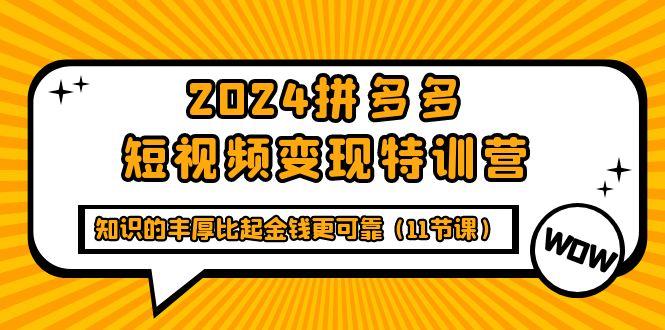 (9817期)2024拼多多短视频变现特训营，知识的丰厚比起金钱更可靠(11节课)-瀚洪创业网
