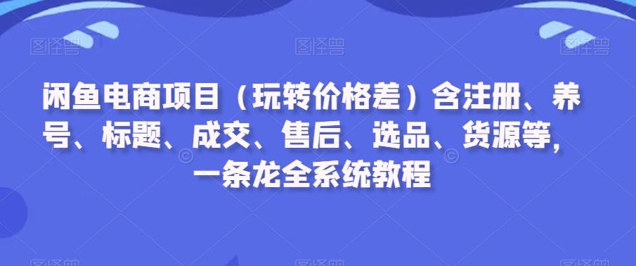 闲鱼电商项目(玩转价格差)含注册、养号、标题、成交、售后、选品、货源等，一条龙全系统教程-瀚洪创业网