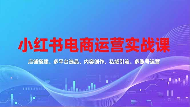 小红书电商运营实战课，店铺搭建、多平台选品、内容创作、私域引流、多账号运营等玩法-瀚洪创业网