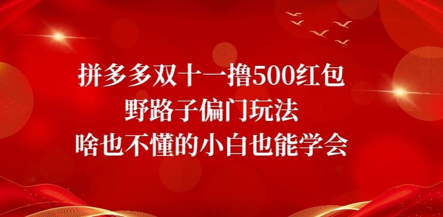 拼多多双十一撸500红包野路子偏门玩法，啥也不懂的小白也能学会【揭秘】-瀚洪创业网