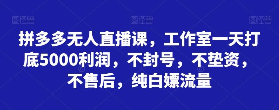 拼多多无人直播课，工作室一天打底5000利润，不封号，不垫资，不售后，纯白嫖流量-瀚洪创业网