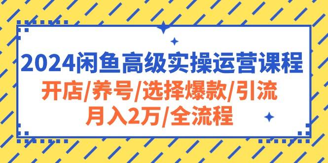 2024闲鱼高级实操运营课程：开店/养号/选择爆款/引流/月入2万/全流程-瀚洪创业网