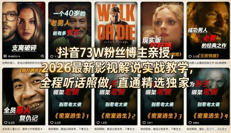 抖音73W粉丝博主亲授，2026最新影视解说实战教学，全程听话照做，直通精选独家-瀚洪创业网
