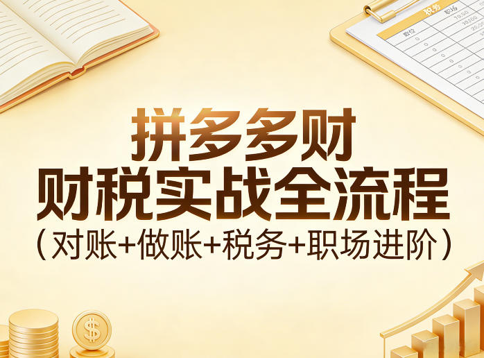 拼多多财税实战全流程(对账+做账+税务+职场进阶)-瀚洪创业网