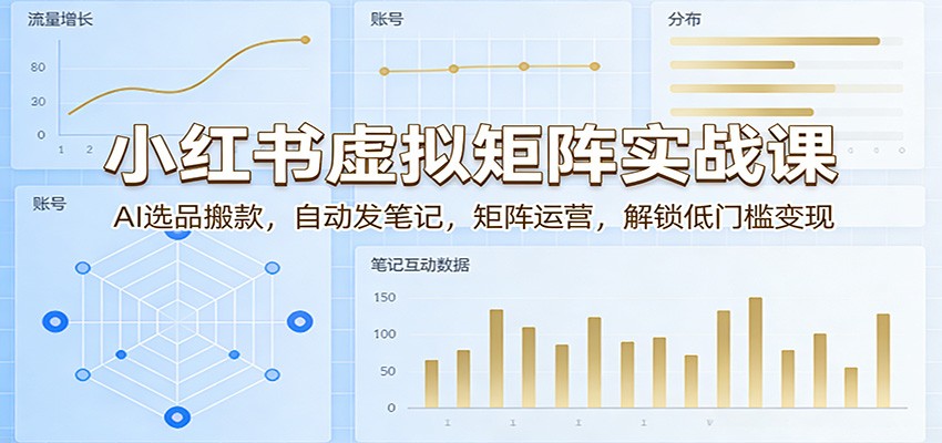 小红书虚拟矩阵实战课：AI选品搬款，自动发笔记，矩阵运营，解锁低门槛变现-瀚洪创业网