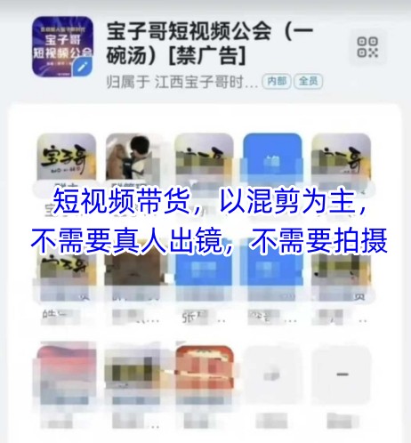 宝子哥头部团队短视频带货，以混剪为主，不需要真人出镜，不需要拍摄【更新26年3月】-瀚洪创业网