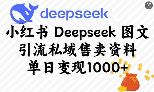 小红书Deepseek图文引流私域售卖资料，单日变现多张-瀚洪创业网