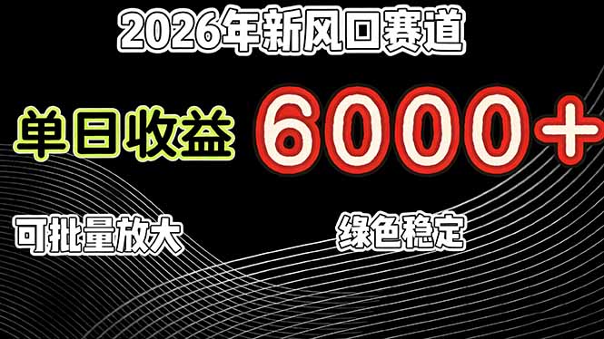2026年新风口赛道，当日6000+以上，可批量放大，月收入20万+，长期绿色稳定的项目-瀚洪创业网
