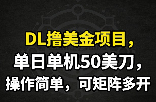 DL撸美金项目，单日单机50美刀，操作简单，可矩阵多开-瀚洪创业网