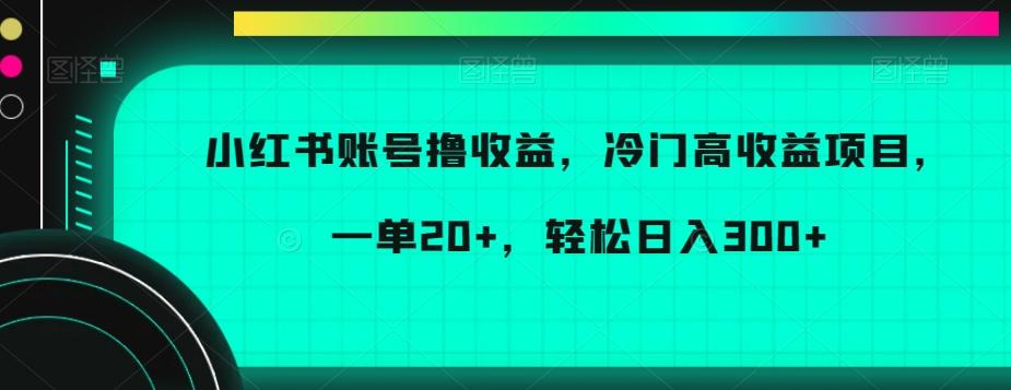 小红书账号撸收益，冷门高收益项目，一单20+，轻松日入300+【揭秘】-瀚洪创业网