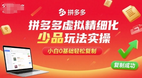 拼多多虚拟精细化少品玩法实操，小白0基础轻松复制-瀚洪创业网