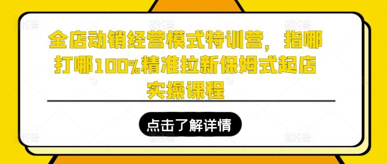 全店动销经营模式特训营，指哪打哪100%精准拉新保姆式起店实操课程-瀚洪创业网