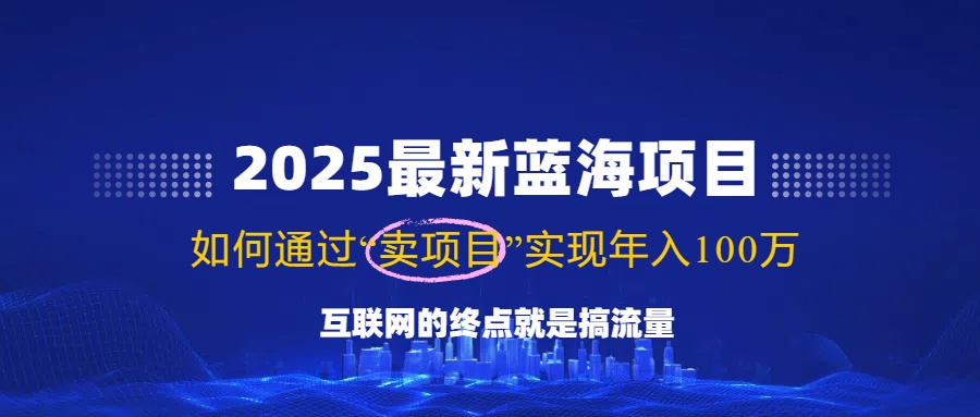 2025最新蓝海项目，零门槛轻松复制，月入10万+，新手也能操作！-瀚洪创业网