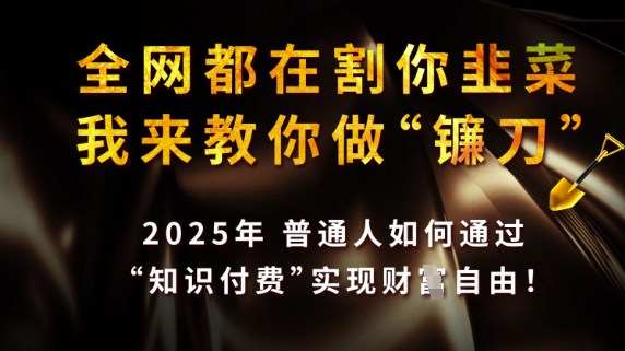 全网都在割你韭菜，我来教你做镰刀，2025普通人如何通过知识付费，实现财F自由【揭秘】-瀚洪创业网