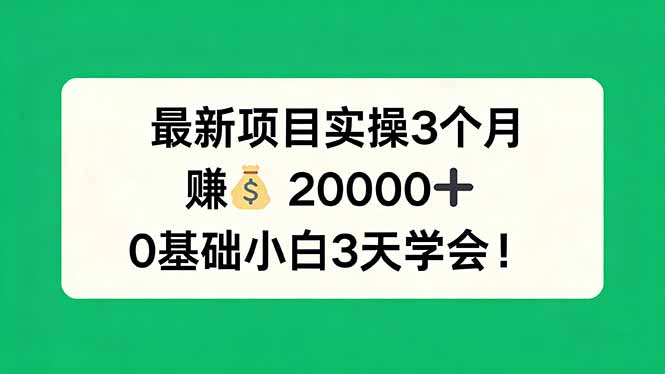 最新项目实操3个月，赚钱20000+，0基础小白3天学会！-瀚洪创业网
