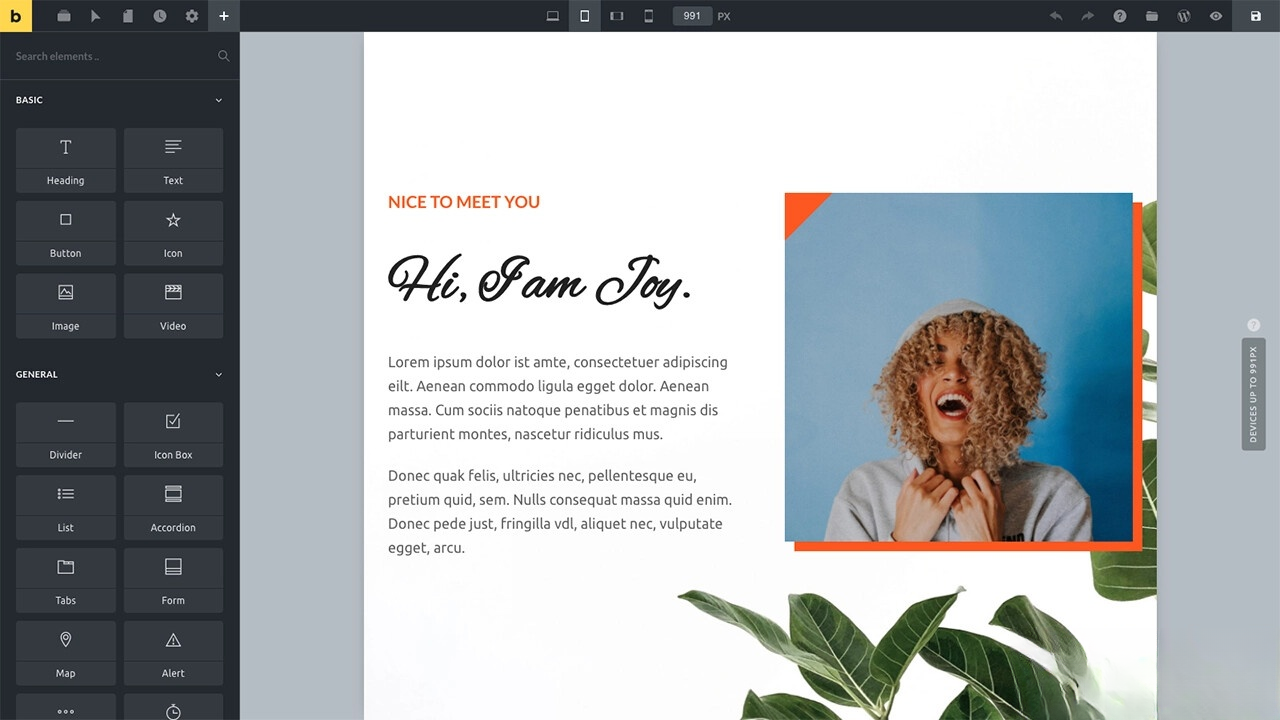 WordPress主题Bricks v1.9 破解版-瀚洪创业网