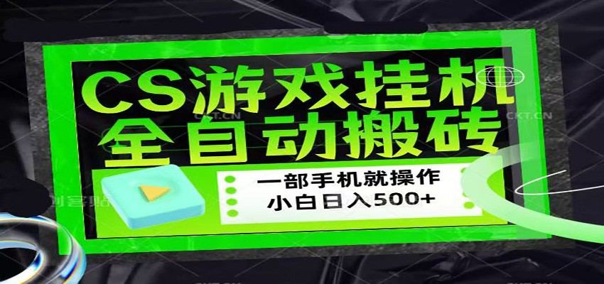 CSGO游戏挂机捡漏搬砖，超稳定的项目，带领1000+小白实现日入500+-瀚洪创业网