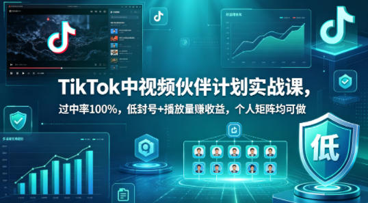 TikTok中视频伙伴计划实战课，过中率100%，低封号+播放量賺收益，个人矩阵均可做-瀚洪创业网