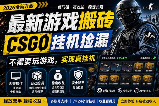 最新游戏搬砖，CSGO纯挂机，不需要玩游戏，实现真挂机，月入1W+，五一小高峰上车可吃肉，…-瀚洪创业网