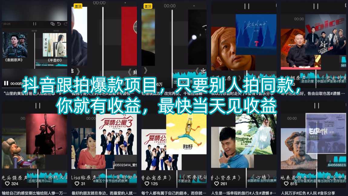 抖音跟拍爆款项目，只要别人拍同款，你就有收益，最快当天见收益-瀚洪创业网
