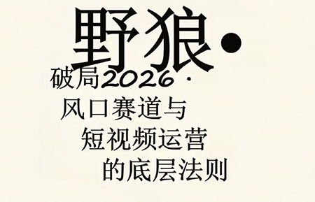 野狼团队·多平台实操运营课(更新4月)-瀚洪创业网
