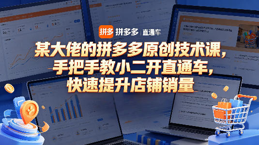 某大佬的拼多多原创技术课，手把手教小二开直通车，快速提升店铺销量-瀚洪创业网