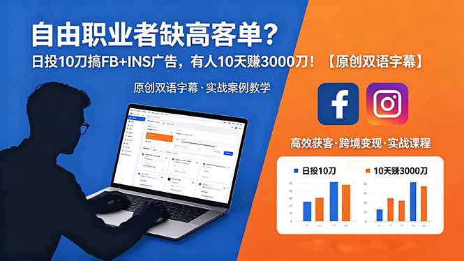 自由职业者缺高客单？日投 10 刀搞 FB+INS 广告，有人 10 天赚 3000 刀！【原创双语字幕】-瀚洪创业网