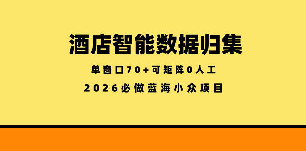 酒店智能数据归集，小众蓝海已经稳定半年之久，单窗口70+零成本矩阵开干【揭秘】-瀚洪创业网