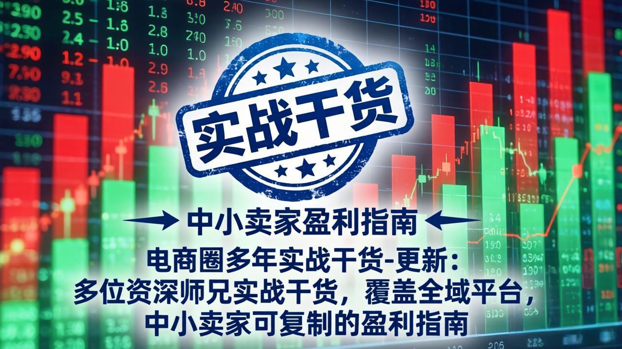 电商圈多年实战干货-更新5月20：多位资深师兄实战干货/覆盖全域平台，中小卖家可复制的盈利指南-瀚洪创业网