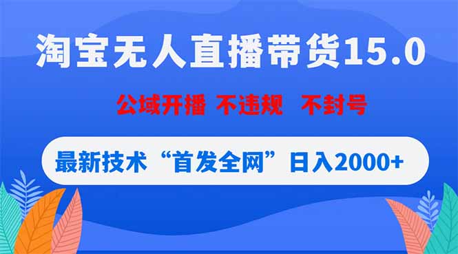 淘宝无人直播带货15.0，不封号，不违规，公域玩法，首发全网日入2000+-瀚洪创业网