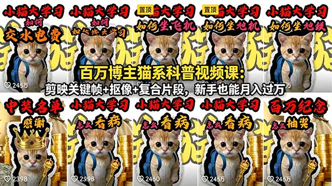百万博主猫系科普视频课：剪映关键帧+抠像+复合片段，新手也能月入过万-瀚洪创业网